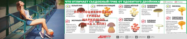 ГАЛЛЮЦИНОГЕННЫЕ ГРИБЫ Богородицк