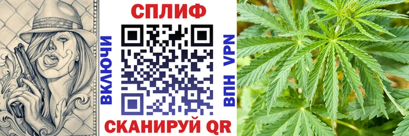 дарнет шоп  Боровичи  Каннабис AK-47 